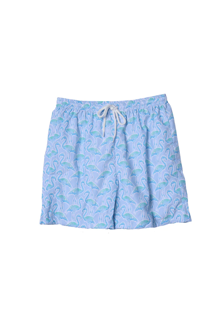 Flamingo Paradise Men's Swim Trunks